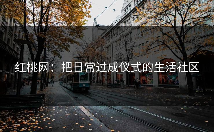 红桃网：把日常过成仪式的生活社区