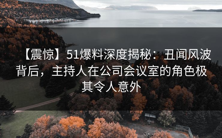 【震惊】51爆料深度揭秘：丑闻风波背后，主持人在公司会议室的角色极其令人意外