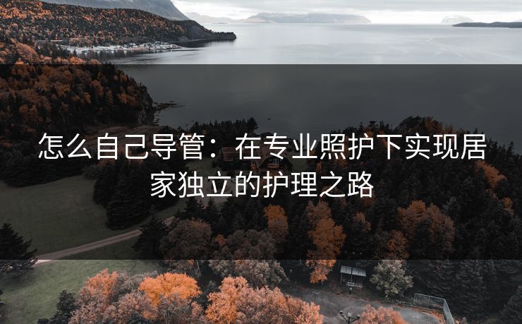 怎么自己导管:在专业照护下实现居家独立的护理之路 怎么自己导管:在专业照护下实现居家独立的护理之路